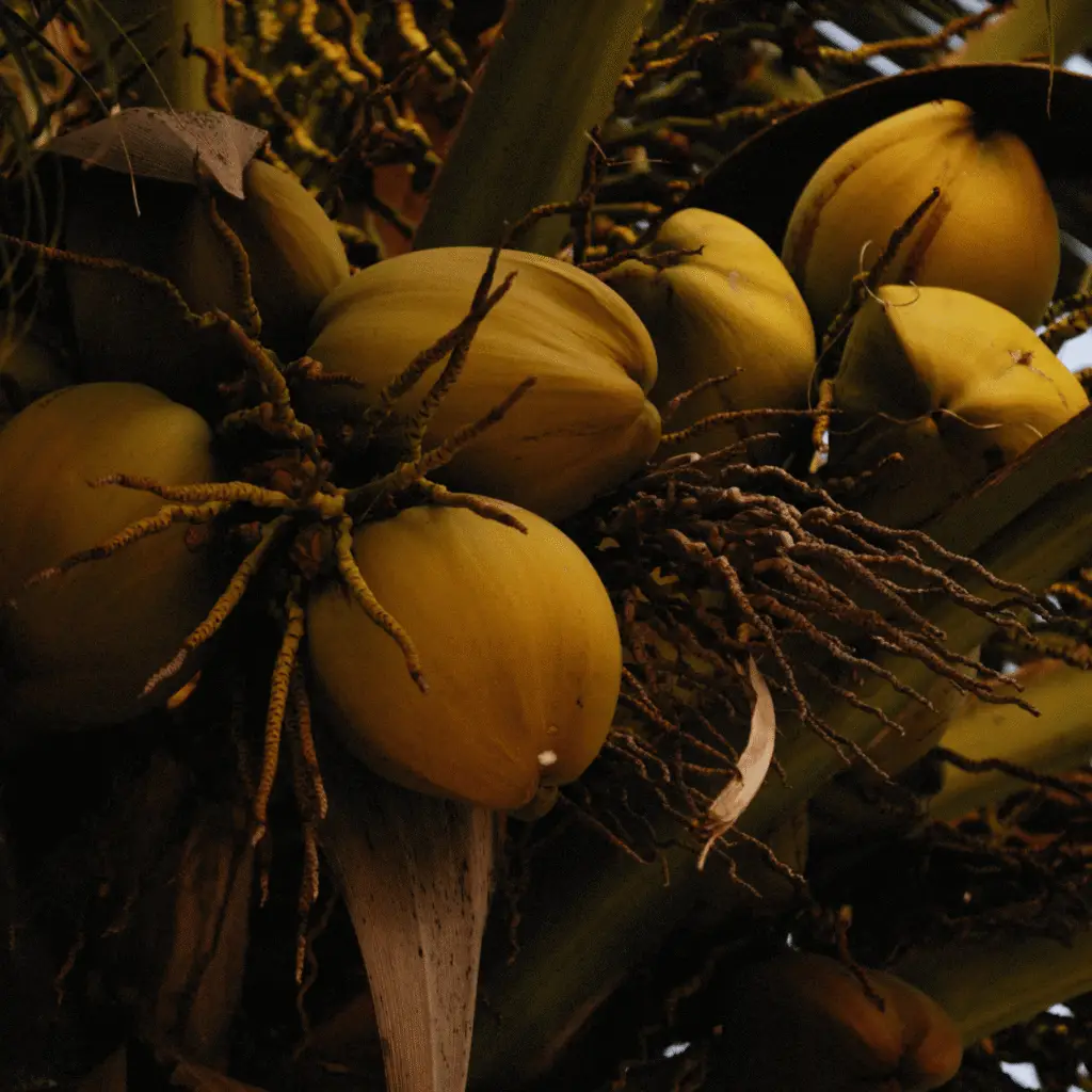 destinasi liburan terbaru website desktop prototype (5)